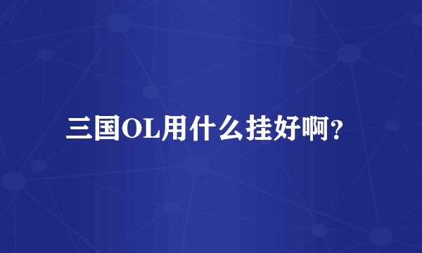 三国OL用什么挂好啊？