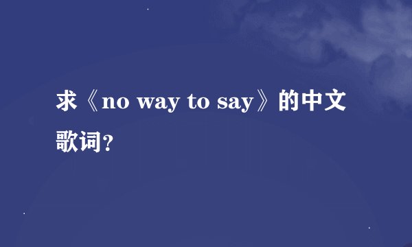 求《no way to say》的中文歌词？