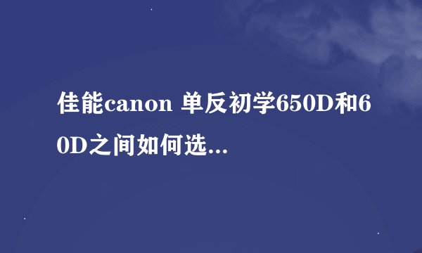 佳能canon 单反初学650D和60D之间如何选择? 主要用于追星, 机场, 综艺, 演唱会等活动自拍.