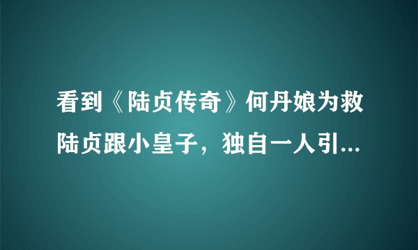 看到《陆贞传奇》何丹娘为救陆贞跟小皇子，独自一人引开娄氏的追兵自毁容貌，跳崖自尽的那一幕，我哭了。