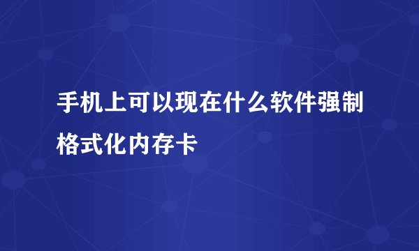 手机上可以现在什么软件强制格式化内存卡