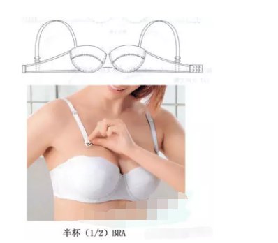 文胸的罩杯如何选择