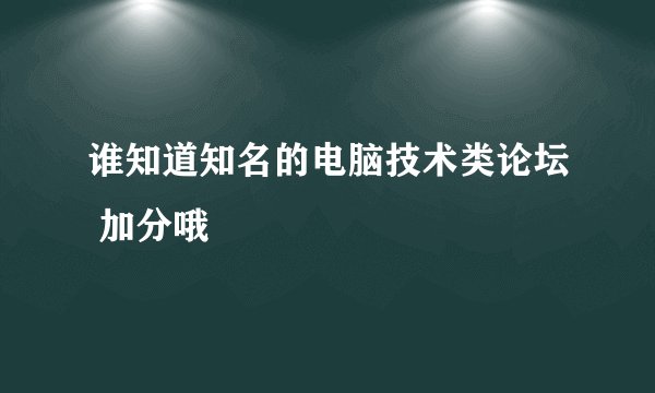谁知道知名的电脑技术类论坛 加分哦