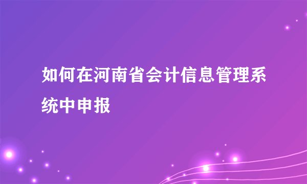 如何在河南省会计信息管理系统中申报