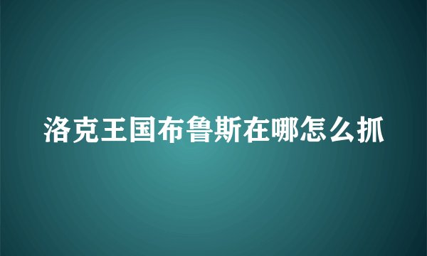 洛克王国布鲁斯在哪怎么抓