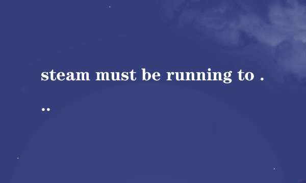 steam must be running to play this game