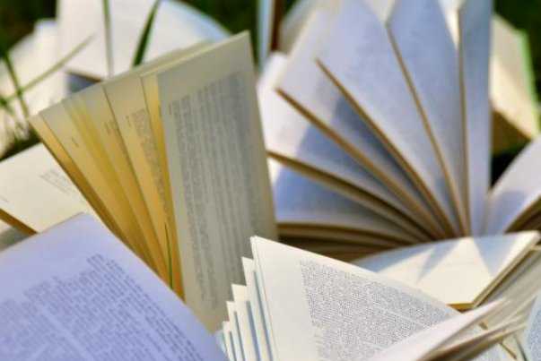 有什么好看的多肉古文？