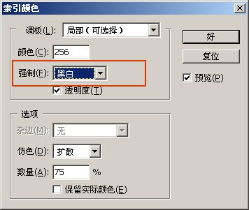 怎样用PhotoShop把图片做成256色位图
