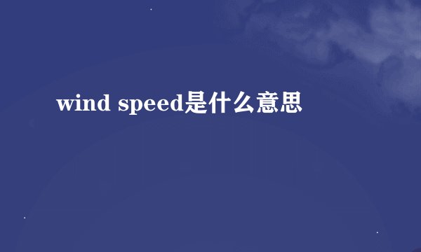 wind speed是什么意思
