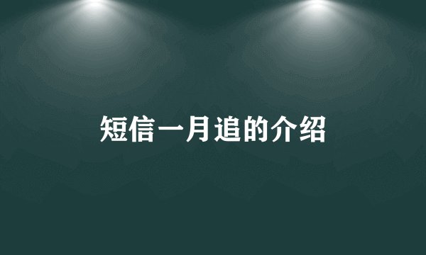 短信一月追的介绍