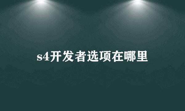 s4开发者选项在哪里
