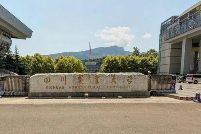 四川本科提前批调档线出炉了吗