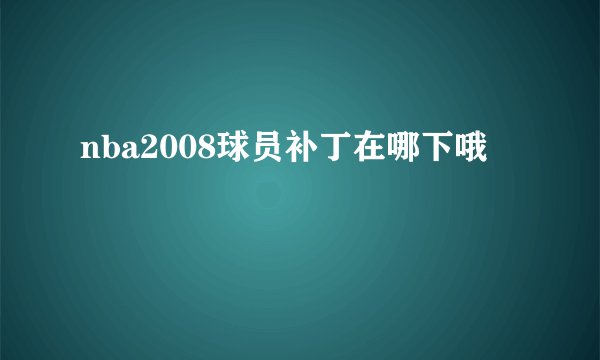 nba2008球员补丁在哪下哦