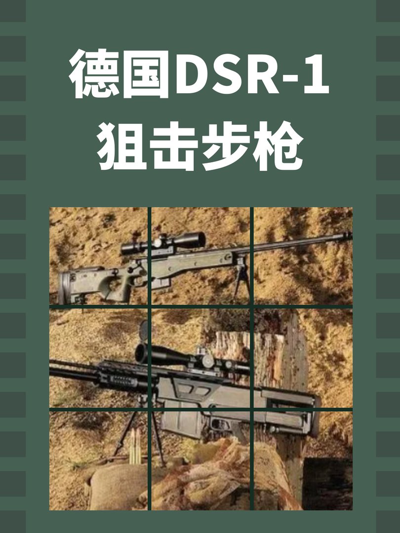 德国DSR-1狙击步枪