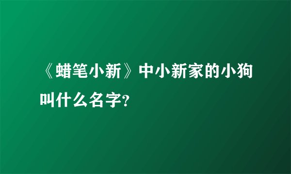 《蜡笔小新》中小新家的小狗叫什么名字？