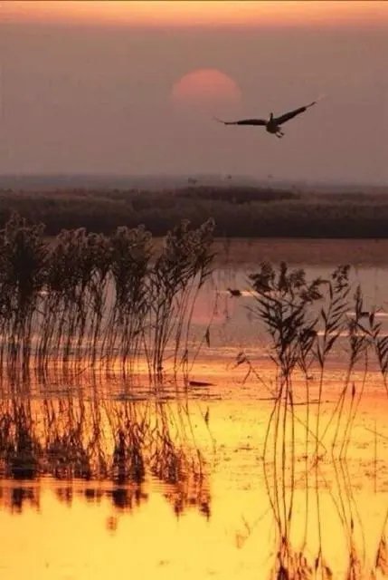 望穿秋水中的秋水指的是什么？这一成语的来源是什么？