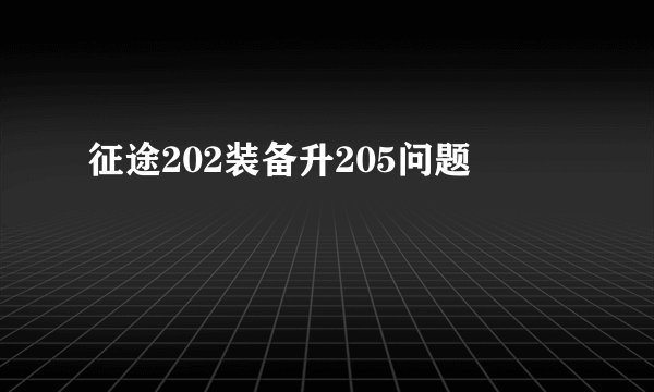 征途202装备升205问题