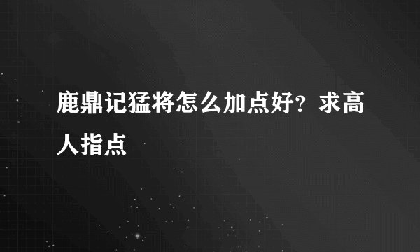 鹿鼎记猛将怎么加点好？求高人指点