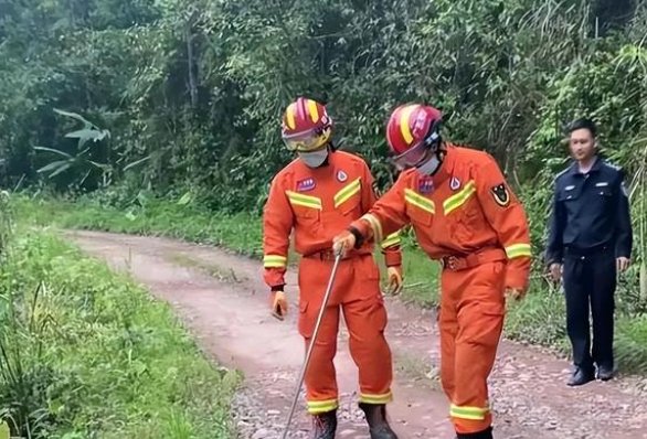 贵州六盘水两蛇打架居民楼道上演蛇吞蛇,当时的情况是怎样的?