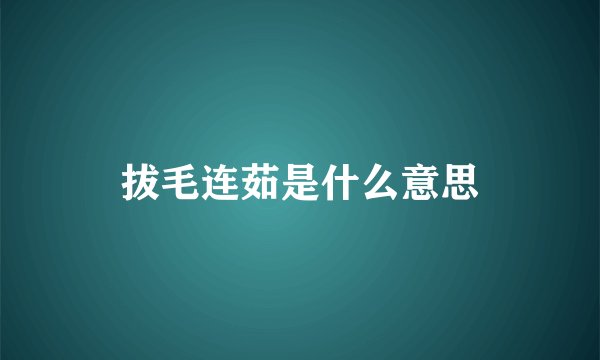 拔毛连茹是什么意思