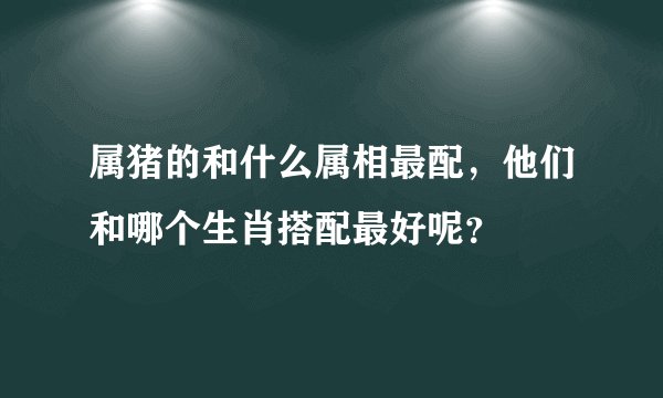 属猪的和什么属相最配，他们和哪个生肖搭配最好呢？