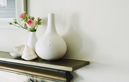 风水学半夜家里飞进一只很大的黑蝴蝶代表什么