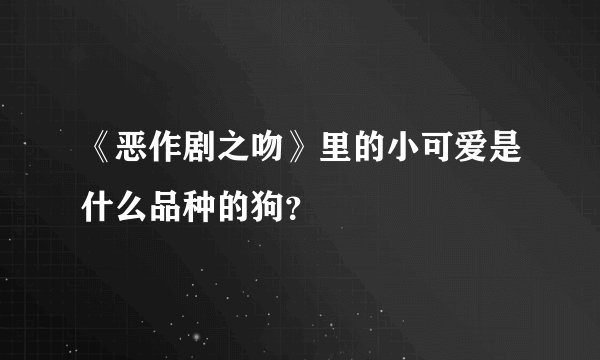 《恶作剧之吻》里的小可爱是什么品种的狗？