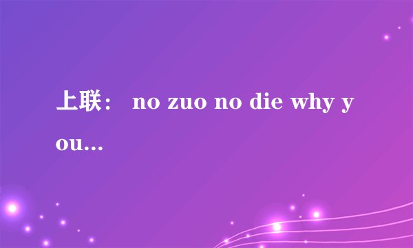 上联： no zuo no die why you try？下联是什么？