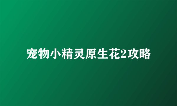 宠物小精灵原生花2攻略