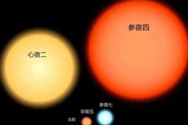 银河系十大恒星