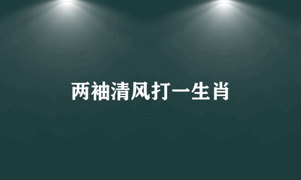 两袖清风打一生肖