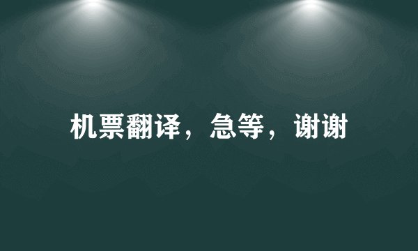 机票翻译，急等，谢谢