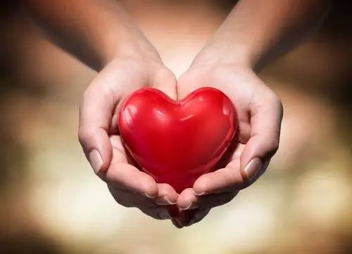 山西一村民给书记塞花生,你如何看待村民这一行为?