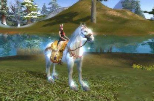 完美国际8军是什么?