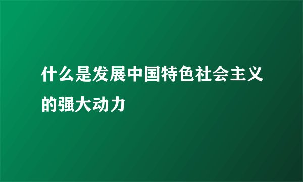 什么是发展中国特色社会主义的强大动力