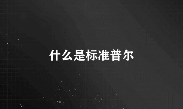 什么是标准普尔