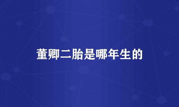 董卿二胎是哪年生的