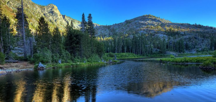 秀美造句二年级简单的