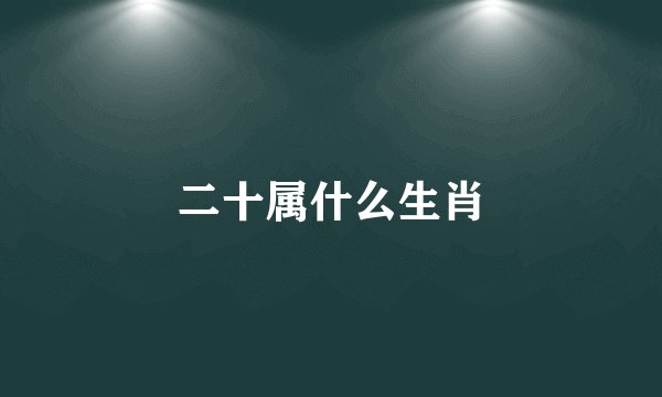 二十属什么生肖