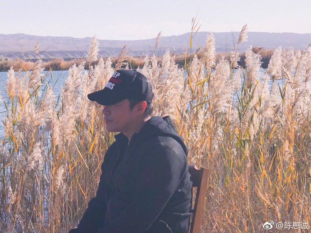 陈思诚表示不会再执导《唐探4》,这是什么原因导致的?