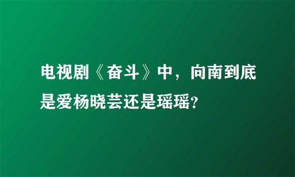 电视剧《奋斗》中，向南到底是爱杨晓芸还是瑶瑶？