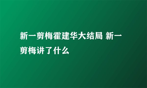 新一剪梅霍建华大结局 新一剪梅讲了什么