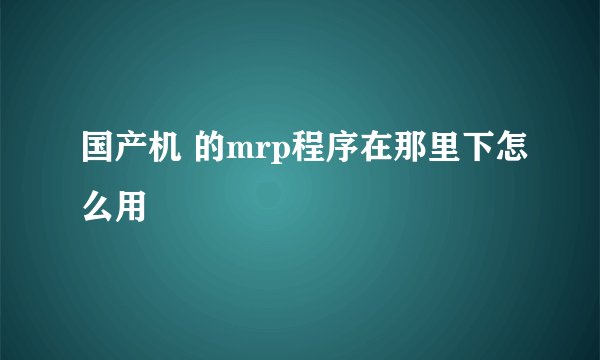 国产机 的mrp程序在那里下怎么用