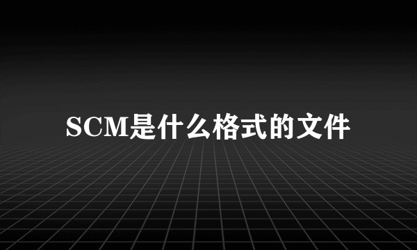 SCM是什么格式的文件