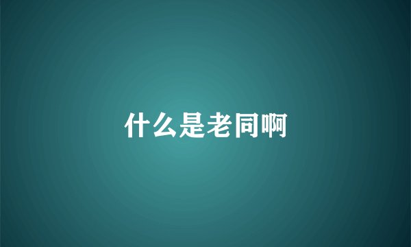 什么是老同啊