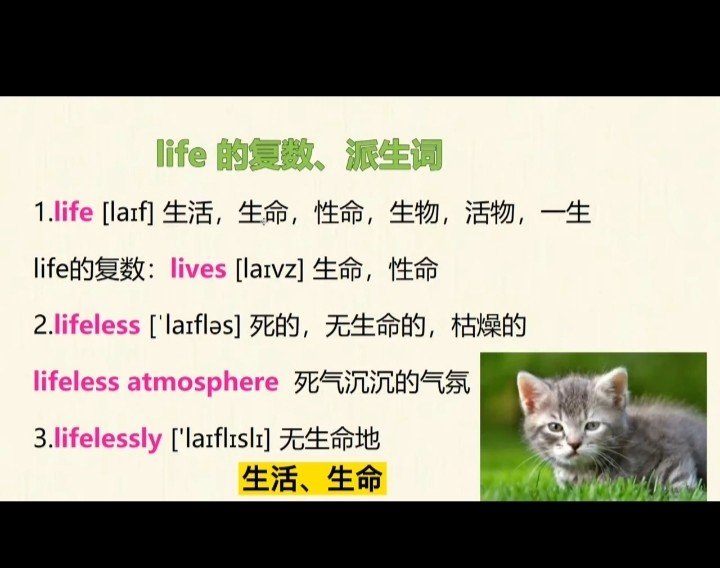 人生苦短,何妨一试英语翻译