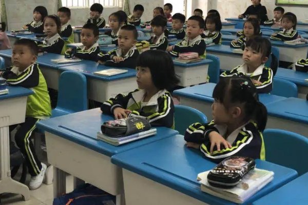 12月15日学校会停课么