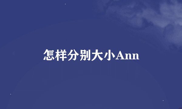 怎样分别大小Ann