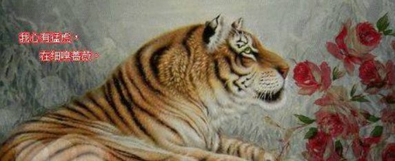 陈二狗的妖孽人生陈二狗写的那句话‘我心中有猛虎，细嗅蔷薇’是什么意思？