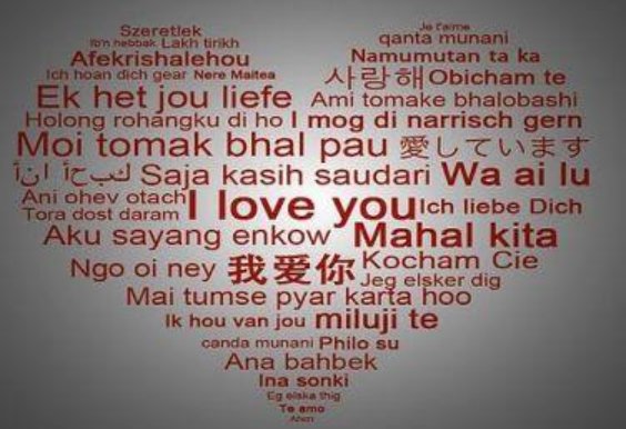 我爱你各种国家语言有哪些？
